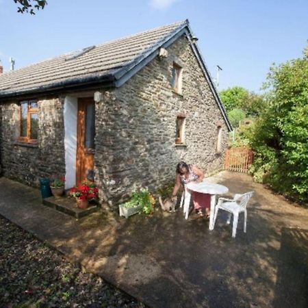 Inviting 2-Bed Cottage In Newcastle Emlyn Eksteriør bilde