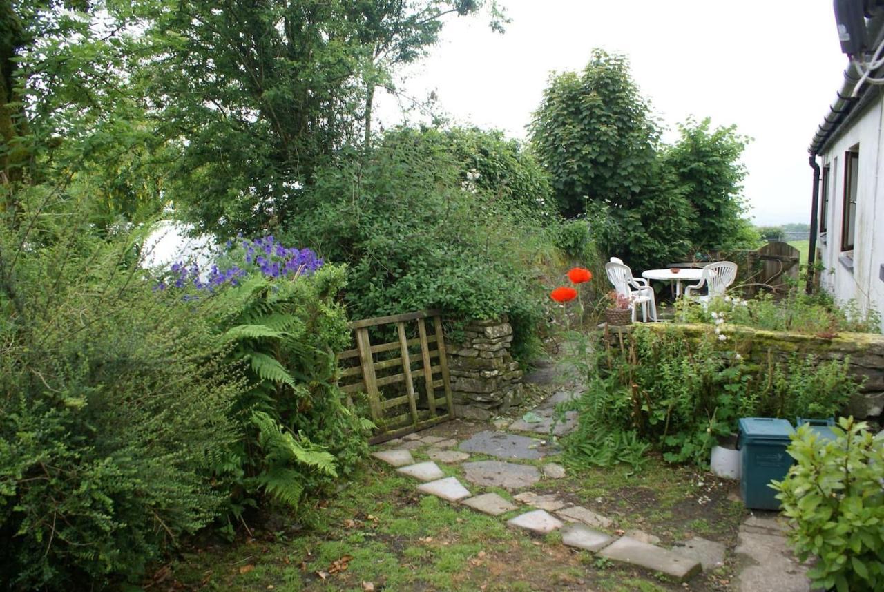 Inviting 2-Bed Cottage In Newcastle Emlyn Eksteriør bilde