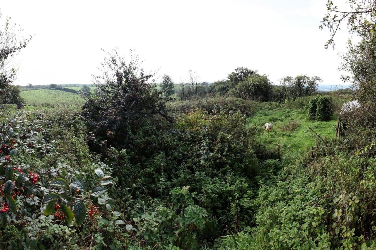 Inviting 2-Bed Cottage In Newcastle Emlyn Eksteriør bilde