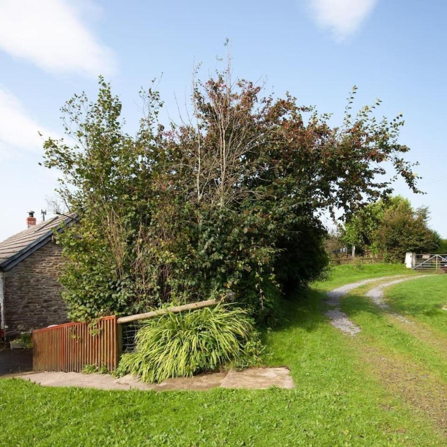 Inviting 2-Bed Cottage In Newcastle Emlyn Eksteriør bilde