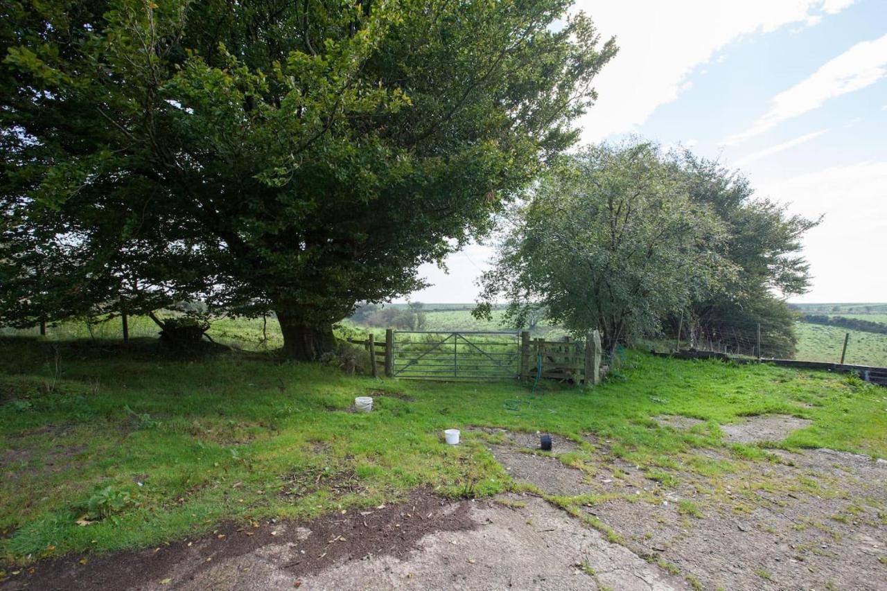 Inviting 2-Bed Cottage In Newcastle Emlyn Eksteriør bilde